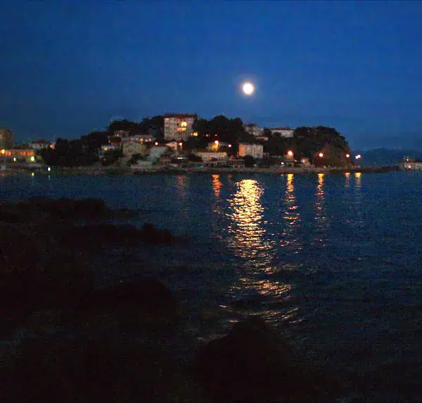 Abri Piscine Rétractable Spécialiste abri de piscine Bandol