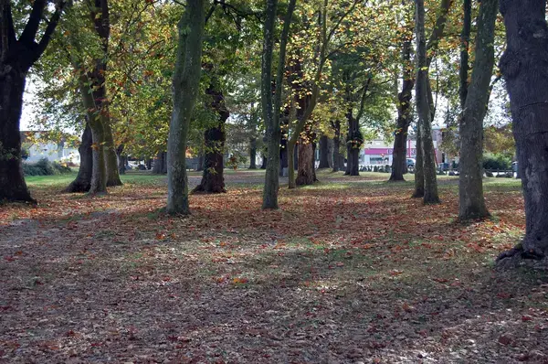 Abri Piscine Rétractable Spécialiste abri de piscine Idron