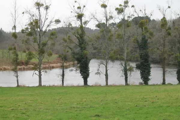 Abri Piscine Rétractable Spécialiste abri de piscine Muzillac
